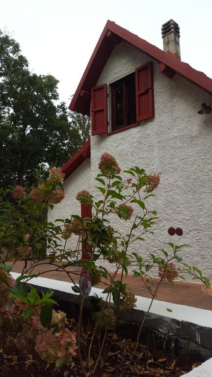 Le Radici Bed & Breakfast Sassello Room photo