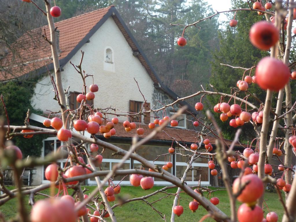 Le Radici Bed & Breakfast Sassello Exterior photo